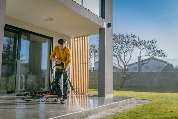 Best Driveway Pressure Washing  in West Blocton, AL
